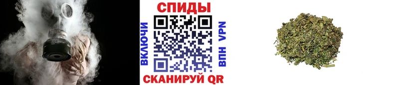 БУТИРАТ BDO  цены   Устюжна 