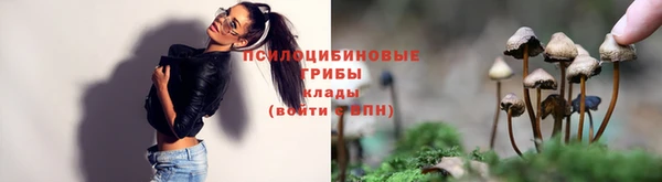 стафф Переславль-Залесский