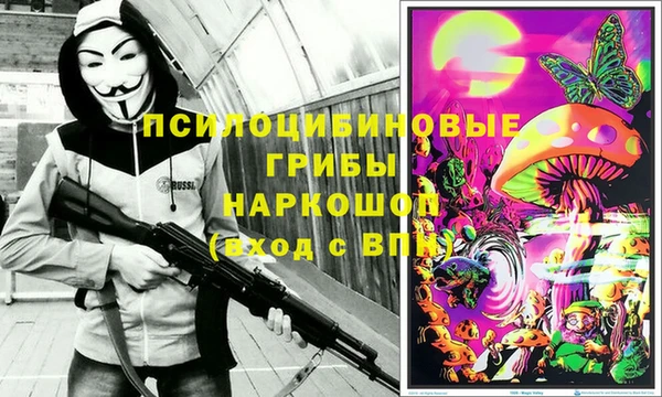 прущие крисы Пестово