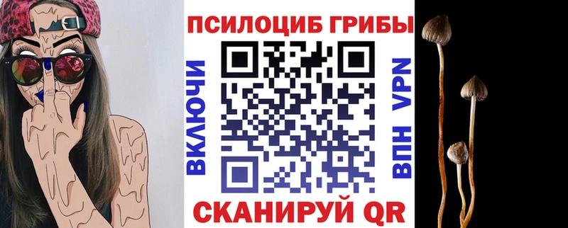 наркошоп  Устюжна  маркетплейс какой сайт  Псилоцибиновые грибы Psilocybine cubensis 
